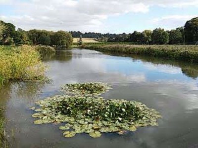 Images for Ridge View, Fillingham EAID:Starkey & Brown Scunthorpe BID:Starkey&Brown Lincoln