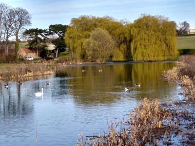 Images for Ridge View, Fillingham EAID:Starkey & Brown Scunthorpe BID:Starkey&Brown Lincoln