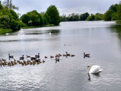 Images for Ridge View, Fillingham EAID:Starkey & Brown Scunthorpe BID:Starkey&Brown Lincoln